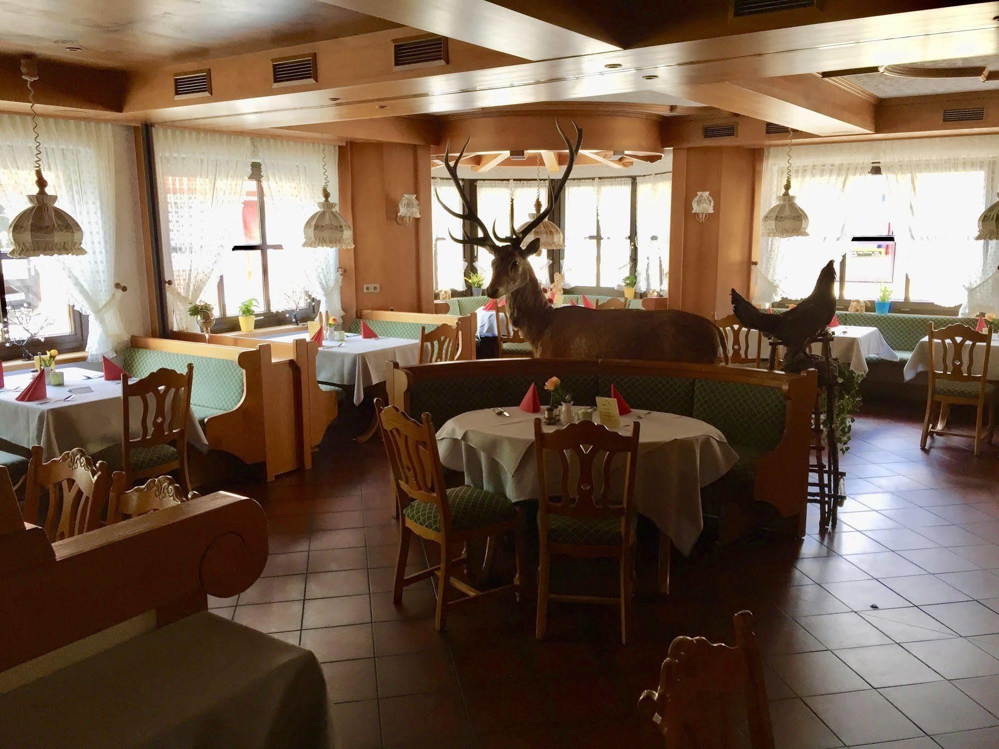 Landhotel Alte Aue アルテンアウ エクステリア 写真