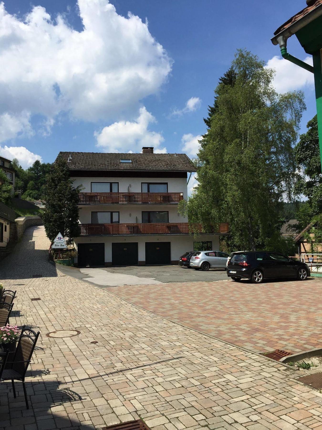 Landhotel Alte Aue アルテンアウ エクステリア 写真